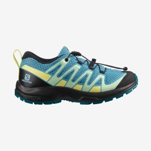 Kids' Salomon XA PRO V8 Hiking Shoes Blue | IN3581KOR