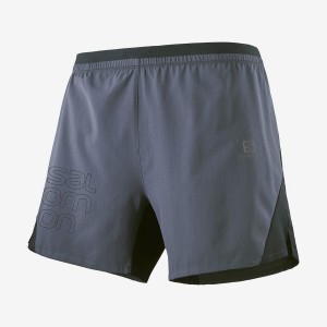 Men's Salomon CROSS 5'' Shorts Grey | IN2459DFM