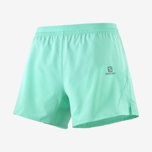 Men's Salomon CROSS 5'' Shorts Mint | IN2457AHK