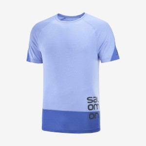 Men's Salomon CROSS RUN GRAPHIC T Shirts Blue | IN2399YXF