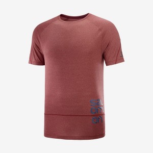 Men's Salomon CROSS RUN GRAPHIC T Shirts Red | IN2400UZG