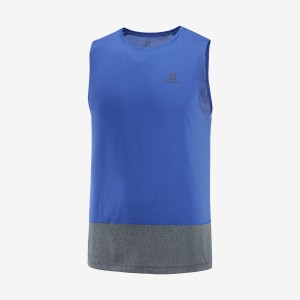 Men's Salomon CROSS RUN T Shirts Blue | IN2393MQZ