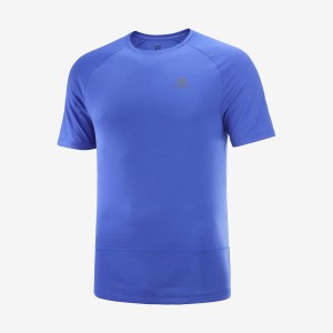 Men's Salomon CROSS RUN T Shirts Blue | IN2395WNB