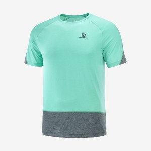 Men's Salomon CROSS RUN T Shirts Mint | IN2398TCE