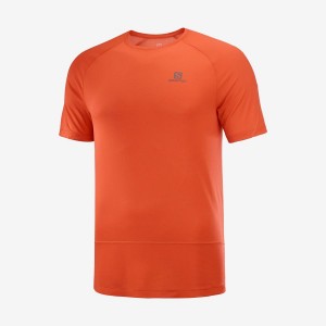 Men's Salomon CROSS RUN T Shirts Orange | IN2394QMA