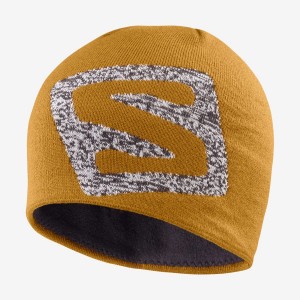 Men's Salomon GRAPHIC Hats Brown | IN2622ZUT