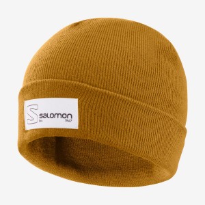 Men's Salomon OUTLIFE LOGO Hats Brown | IN2636HAP