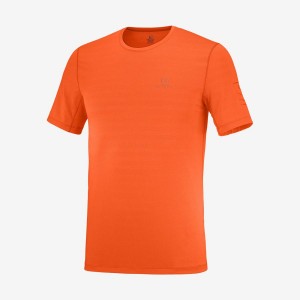 Men's Salomon OUTLINE T Shirts Orange | IN2374UZG