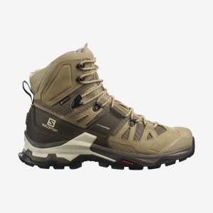 Men's Salomon QUEST 4 GORE-TEX Hiking Shoes Brown | IN2061CTV