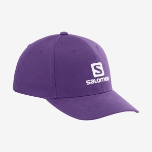 Men's Salomon SALOMON LOGO Hats Purple | IN2640DFM