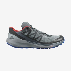 Men's Salomon SENSE RIDE 4 GORE-TEX INVISIBLE FIT Trail Running Shoes Olive | IN2107BEX