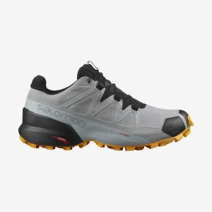 Men's Salomon SPEEDCROSS 5 GORE-TEX Trail Running Shoes Black / Grey | IN2116UZG