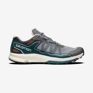 Men's Salomon ULTRA RAID Sneakers Grey / Silver | IN2222VRW