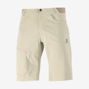 Men's Salomon WAYFARER Shorts Beige | IN2478FDN