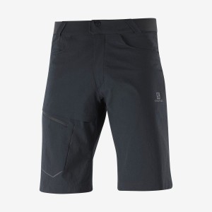 Men's Salomon WAYFARER Shorts Black | IN2477DFM