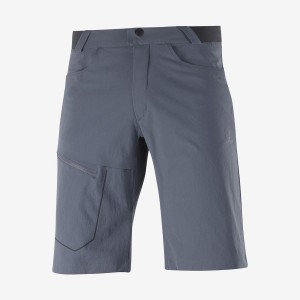 Men's Salomon WAYFARER Shorts Grey | IN2475AHK