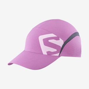 Men's Salomon XA Hats Pink / Purple | IN2626BEX