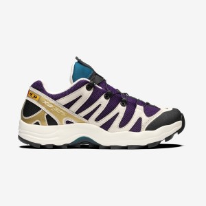 Men's Salomon XA PRO 1 Sneakers Purple / Chocolate / Blue | IN2207MQZ