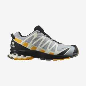 Men's Salomon XA PRO 3D v8 GORE-TEX Hiking Shoes Silver | IN2040WNB