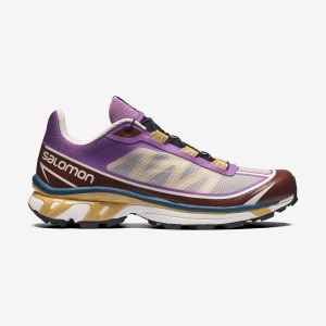 Men's Salomon XT-6 FT Sneakers Purple / Chocolate | IN2226QMA