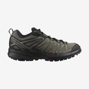 Men's Salomon X CREST Hiking Shoes Olive | IN2057KOR