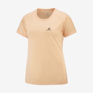 Women's Salomon CROSS REBEL T Shirts Orange | IN3049DFM