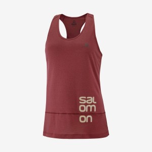 Women's Salomon CROSS RUN GRAPHIC T Shirts Red | IN3057FDN