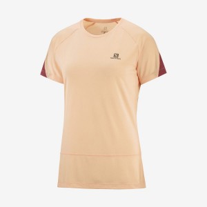 Women's Salomon CROSS RUN T Shirts Beige | IN3081AHK