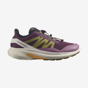 Women's Salomon HYPULSE Trail Running Shoes Purple | IN2873AHK