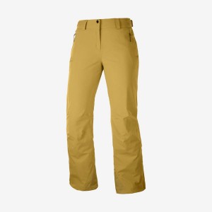 Women's Salomon THE BRILLIANT Ski Pants Brown | IN3311GSO