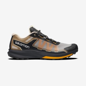 Women's Salomon ULTRA RAID Sneakers Silver | IN2993QMA