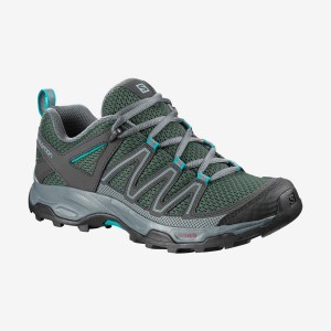 Women's Salomon WoPATHFINDER Hiking Shoes Grey / Brown | IN2779XYU