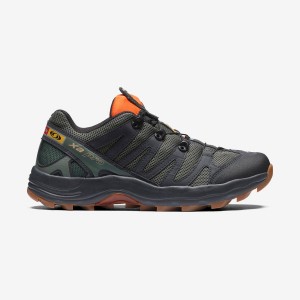 Women's Salomon XA PRO 1 Sneakers Grey | IN2978SGL