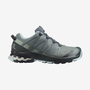 Women's Salomon XA PRO 3D v8 GORE-TEX Trail Running Shoes Grey | IN2860NWY