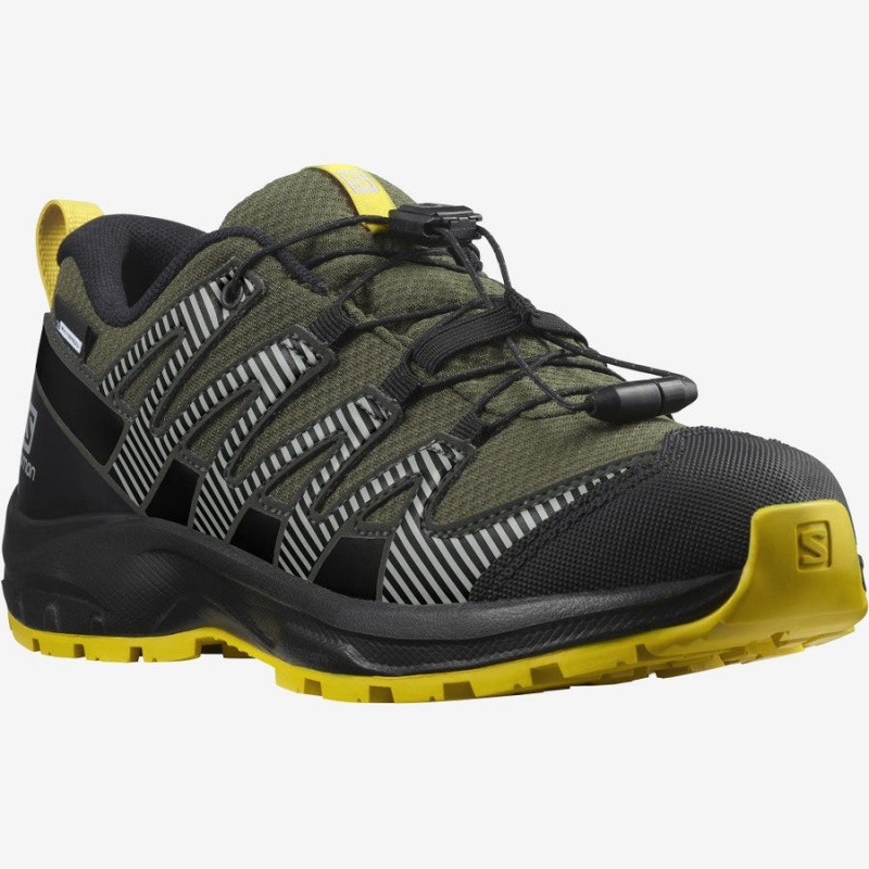 Kids' Salomon XA PRO V8 CLIMASALOMON™ WATERPROOF Hiking Shoes Olive | IN3587BEX