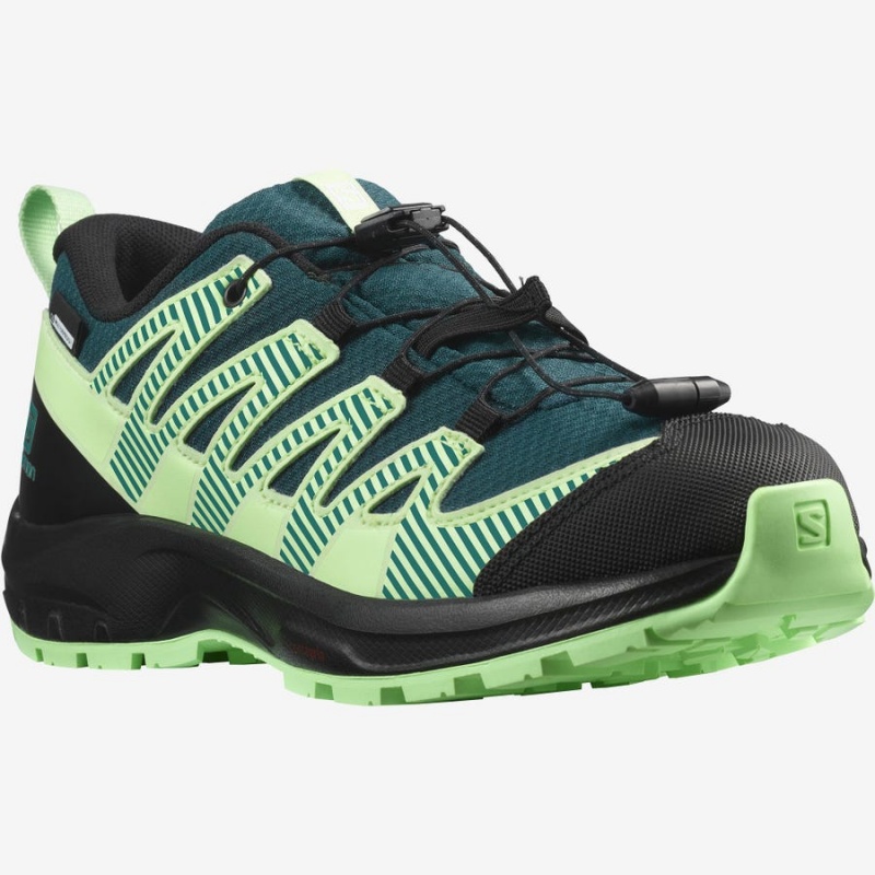 Kids' Salomon XA PRO V8 CLIMASALOMON™ WATERPROOF Trail Running Shoes Green | IN3604FDN