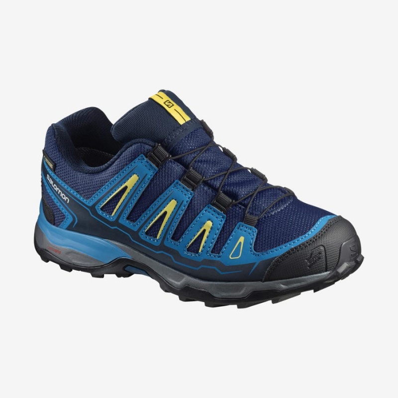 Kids\' Salomon X-ULTRA MID GORE-TEX Hiking Shoes Blue | IN3589MQZ