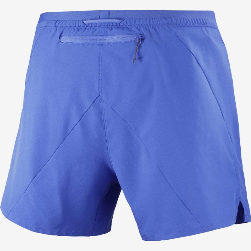 Men's Salomon CROSS 5'' Shorts Blue | IN2458SGL