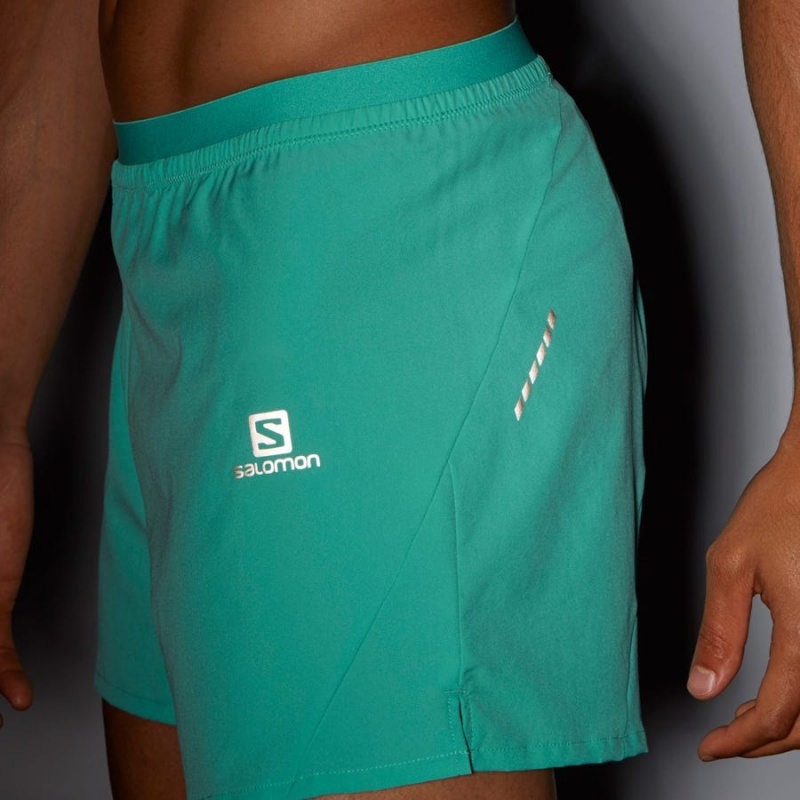 Men's Salomon CROSS 5'' Shorts Mint | IN2457AHK