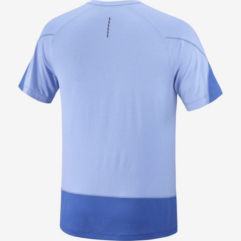 Men's Salomon CROSS RUN GRAPHIC T Shirts Blue | IN2399YXF