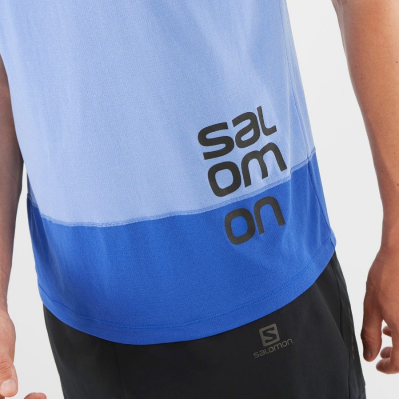 Men's Salomon CROSS RUN GRAPHIC T Shirts Blue | IN2399YXF