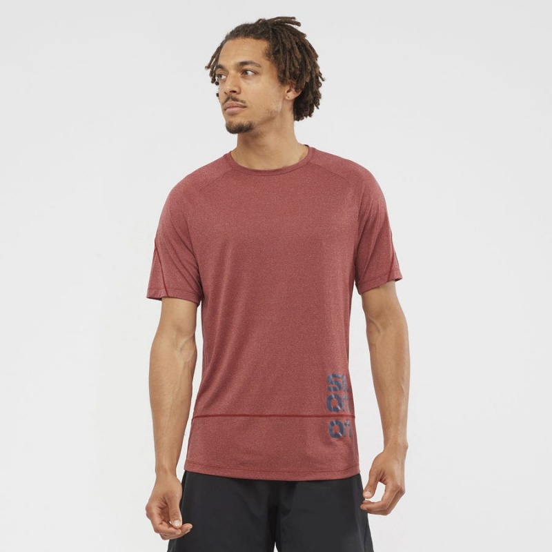 Men's Salomon CROSS RUN GRAPHIC T Shirts Red | IN2400UZG