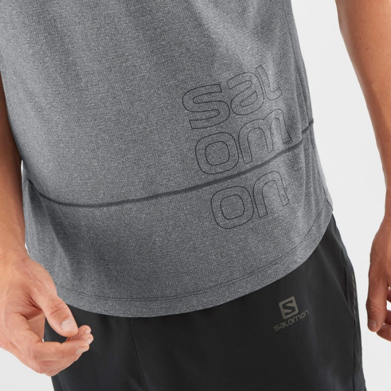 Men's Salomon CROSS RUN GRAPHIC T Shirts Grey | IN2401ILH