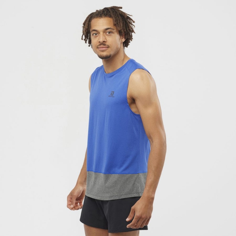 Men's Salomon CROSS RUN T Shirts Blue | IN2393MQZ