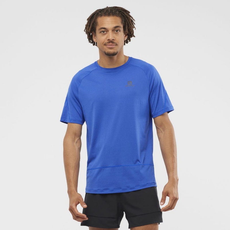 Men's Salomon CROSS RUN T Shirts Blue | IN2395WNB