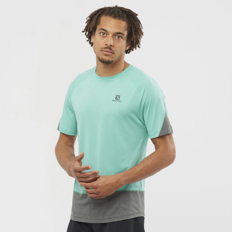 Men's Salomon CROSS RUN T Shirts Mint | IN2398TCE