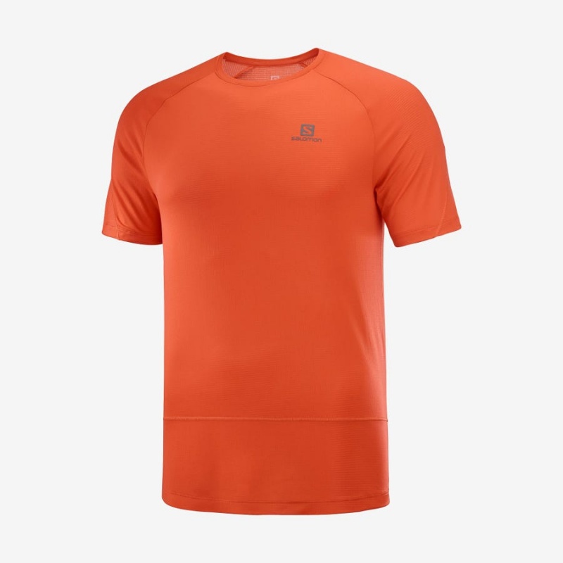 Men\'s Salomon CROSS RUN T Shirts Orange | IN2394QMA