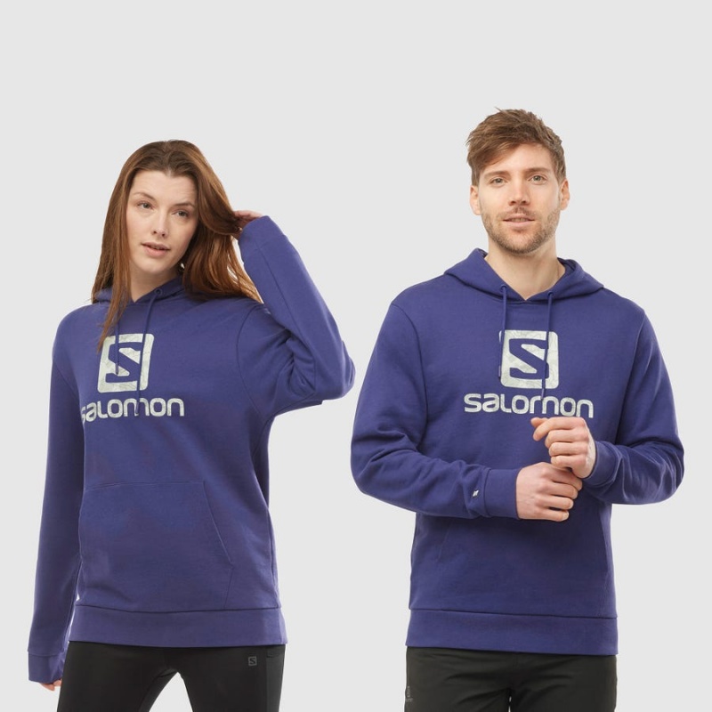 Men's Salomon OUTLIFE LOGO SUMMER Hoodie Purple | IN2405AHK