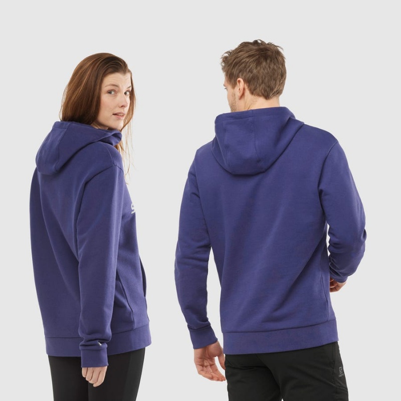 Men's Salomon OUTLIFE LOGO SUMMER Hoodie Purple | IN2405AHK