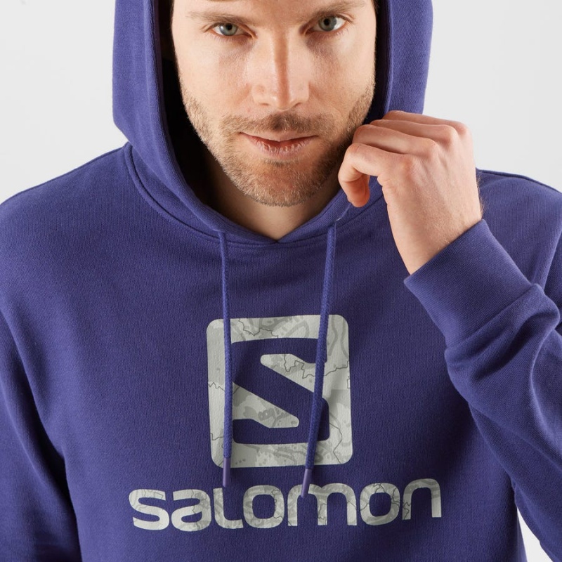 Men's Salomon OUTLIFE LOGO SUMMER Hoodie Purple | IN2405AHK